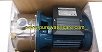 Pompa Stainless Kyodo 370W (S60)